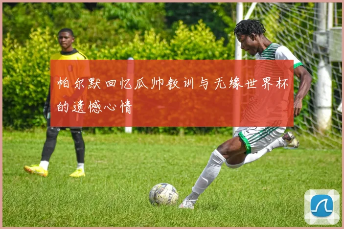 帕尔默回忆瓜帅教训与无缘世界杯的遗憾心情